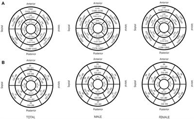 Age and Gender Impact the Measurement of Myocardial Interstitial Fibrosis in a Healthy Adult Chinese Population: A Cardiac Magnetic Resonance Study